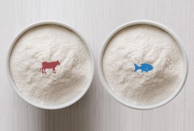 Nên dùng Collagen từ cá hay Collagen từ bò